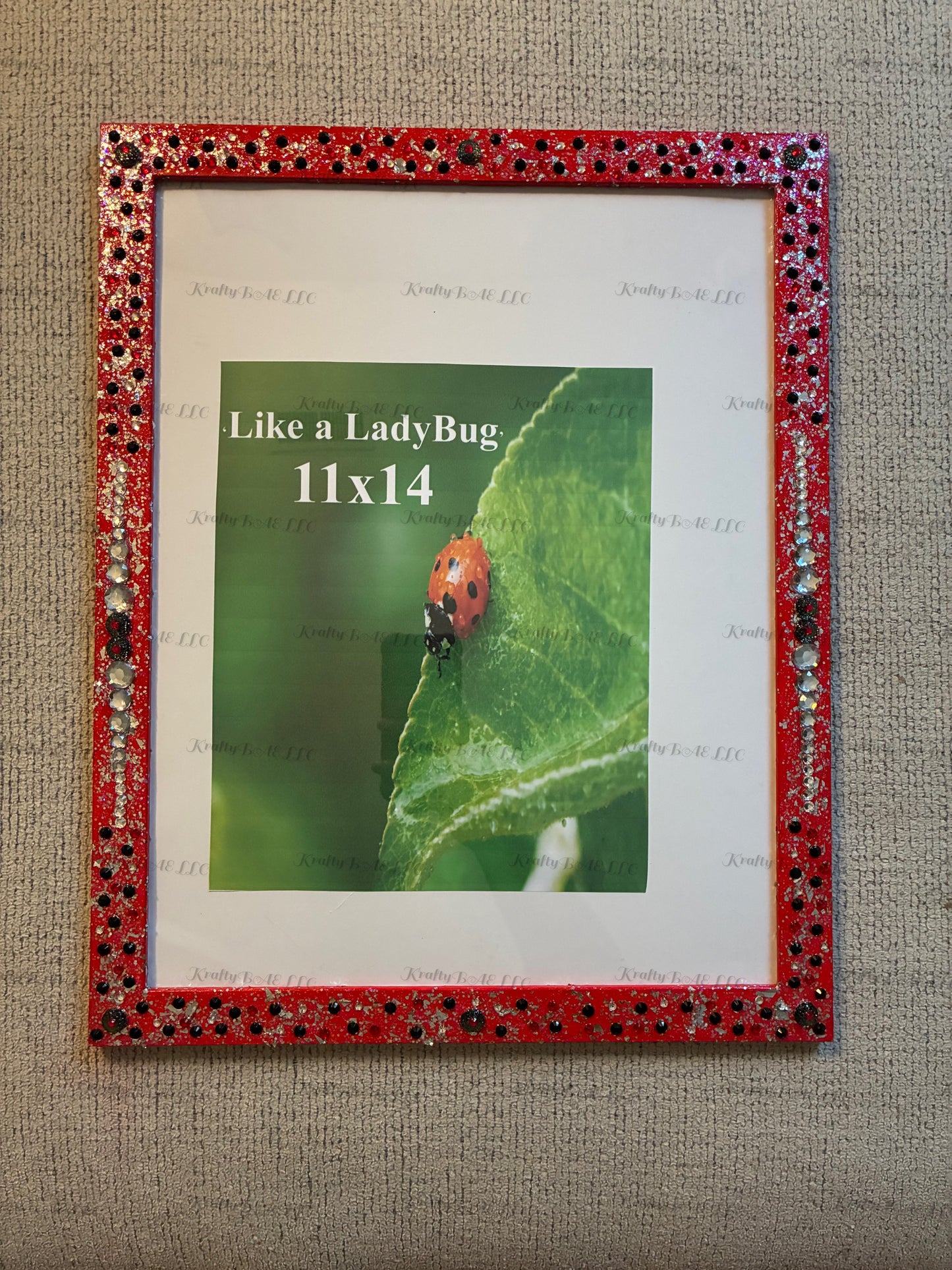 11x14 Picture frame – ‘Like a LadyBug’
