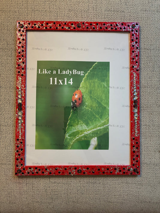 11x14 Picture frame – ‘Like a LadyBug’